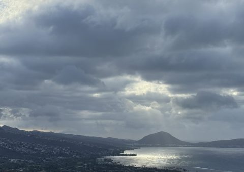 初めてのこと